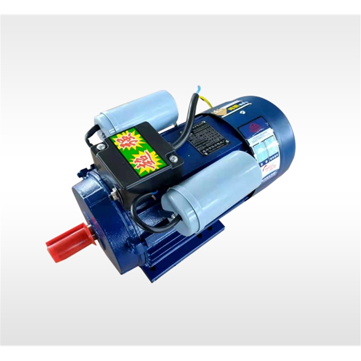 YL series Single-phase asynchronous motor