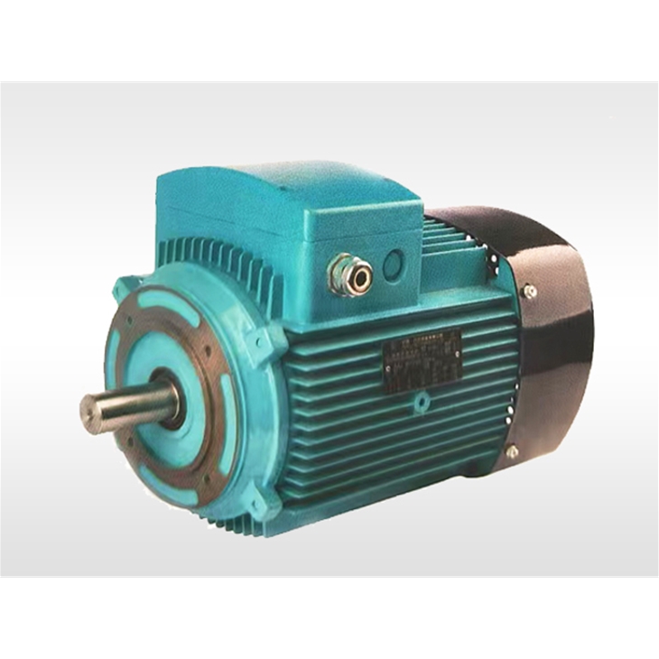 YE3 series aluminum motor